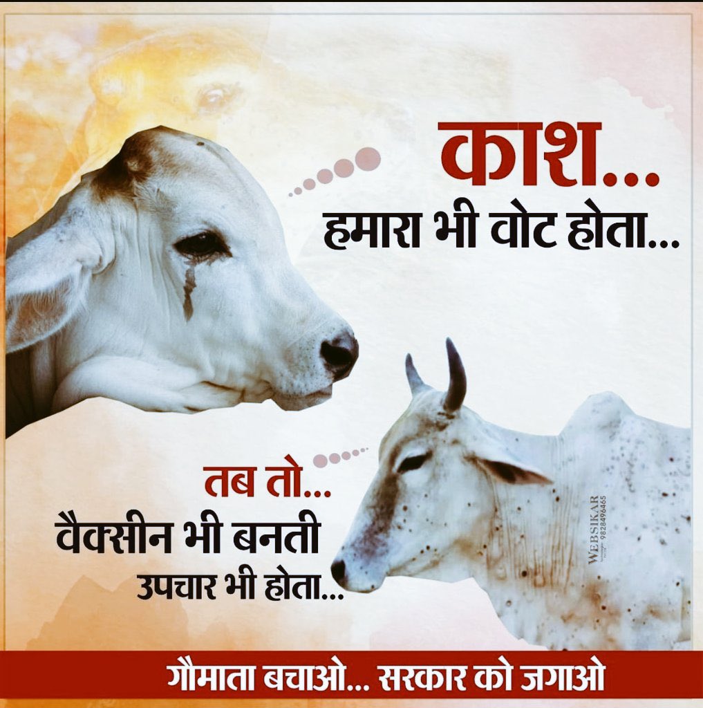 GurjarEkata's tweet photo. हे ईश्वर अब तो आप ही इन गौ माताओ की रक्षा करो 🙏🙏 पहले ही धरती पर इनकी कदर नहीं रही इन निर्दोष बेजुबान पशुओं की तो आप ही कदर करो देव 🙏🙏 इस धरती पर मनुष्य सिर्फ अपना दुःख सुख समझता अपने पेट के लिए आज कोई नहीं खड़ा इनकी महामारी से रक्षा के लिए😡😭😭😭 #SaveCowSaveRajasthan https://t.co/TySSCriTUJ