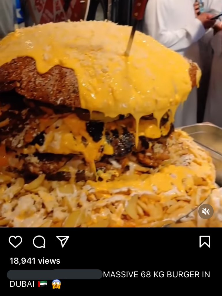 roxiethins's tweet image. retweet if you weigh less than this burger