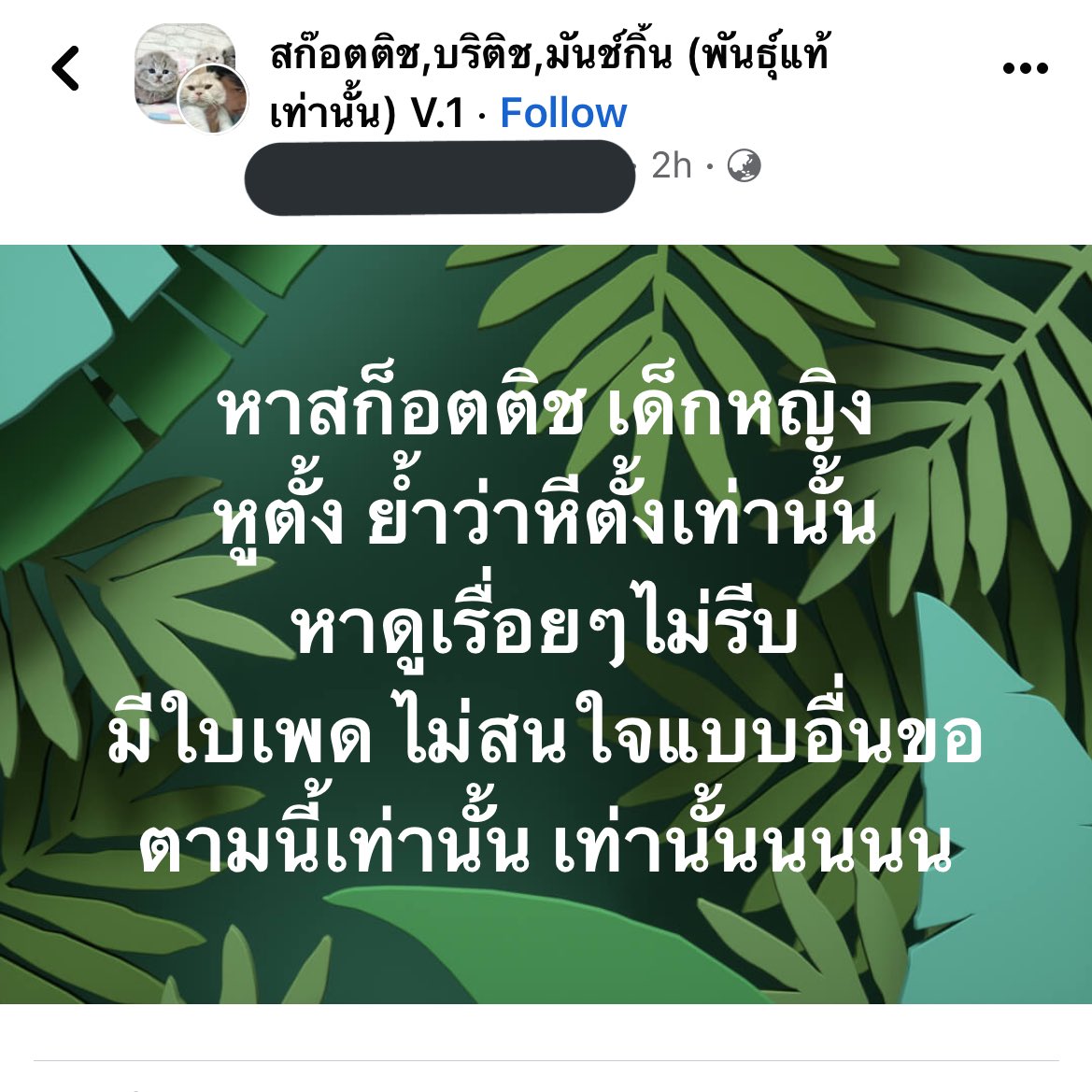 awwwfluffy's tweet photo. จินจิตั้งมั้ย https://t.co/9BWXgU09cK