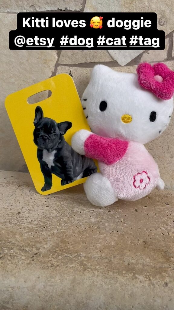 SzabolcsCibi's tweet photo. Kitti loves 🥰doggie 👉https://t.co/1yJ8cd18ud #hellodog #hellodoggie #etsy #bagtag #luggagetag #travel #accessories #backpack #luggagebagtag #etsyshop https://t.co/hT7lp54BmV https://t.co/WRGZQP0KHy