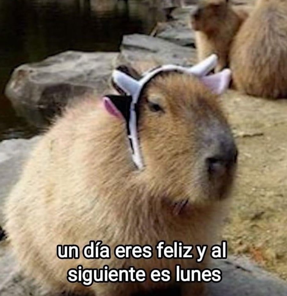 piña sin pizza (@skereunpesado) on Twitter photo 