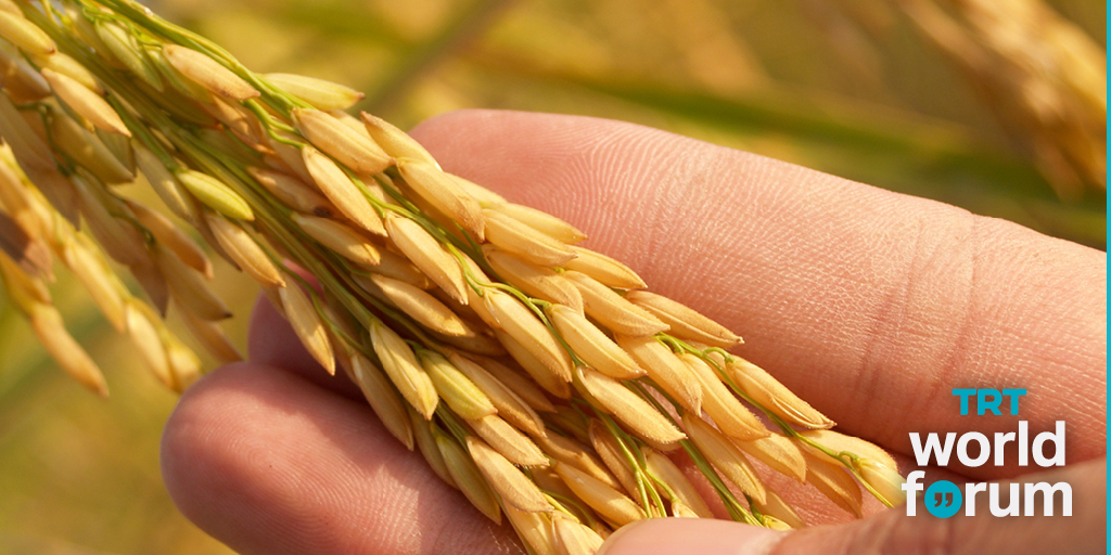 TRT World Forum on Twitter: