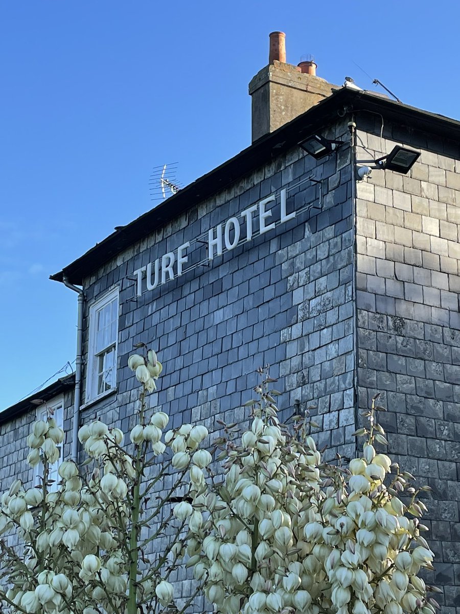 Tim Ridgeway tweet media