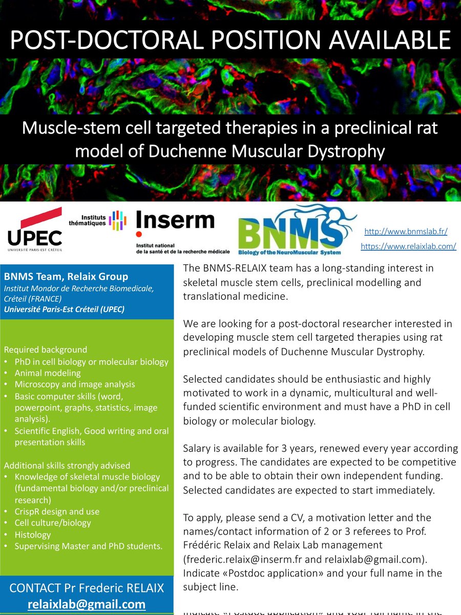 Relaix Lab (@relaixlab) on Twitter photo A #postdoc position is open in our Laboratory 📢 A highly motivated candidate is required to work on #Muscle stem cell targeted #therapies in a #preclinical rat model of DMD! Check the post for more details 👇🏼 Contact relaixlab@gmail.com
#jobposition #myotwitter A #postdoc position is open in our Laboratory 📢 A highly motivated candidate is required to work on #Muscle stem cell targeted #therapies in a #preclinical rat model of DMD! Check the post for more details 👇🏼 Contact relaixlab@gmail.com
#jobposition #myotwitter