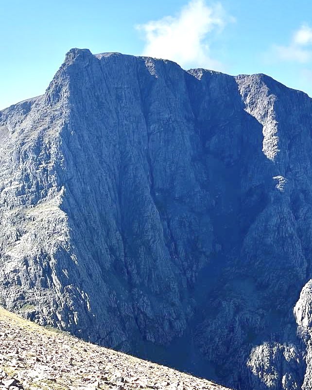 Iain Cameron tweet media