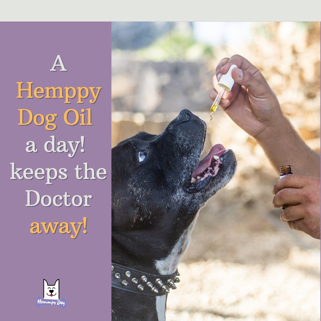 Suitable for All Breeds &amp; Sizes: A must-have of every fur parent, our pet hemp oil for dogs is safe for all breeds &amp; sizes! Check hemppydog.com to add it to your pooch's essentials!