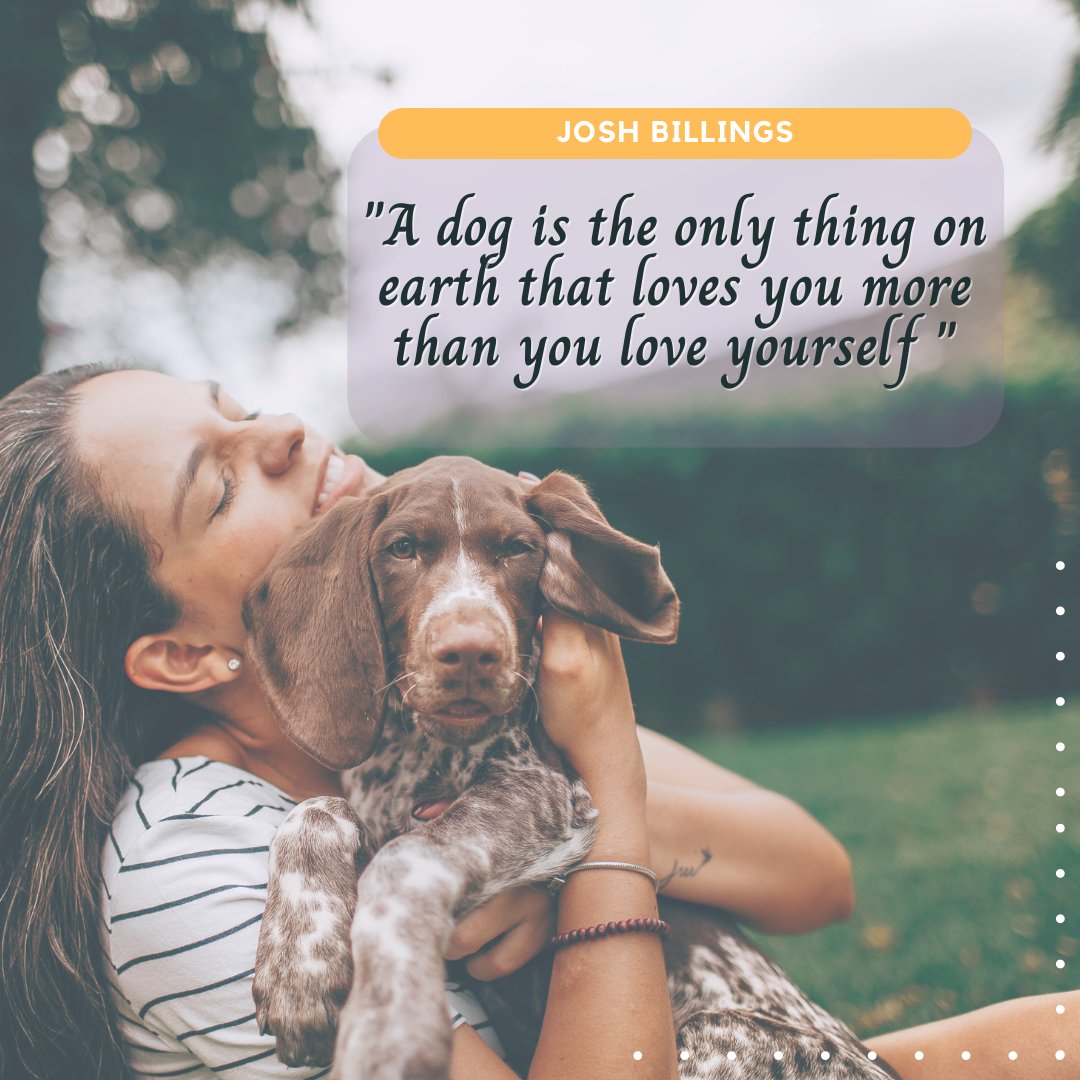 Whose agree? You will find unconditional love from dogs.  hemppydog.com 
#dogoftwitter #doglovers
