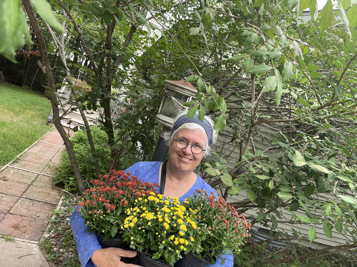 laerwinUMD's tweet image. One of the best things about fall mums is that they are ALWAYS available in @UMNDuluth colors! #LetsGoDogs #Day26
