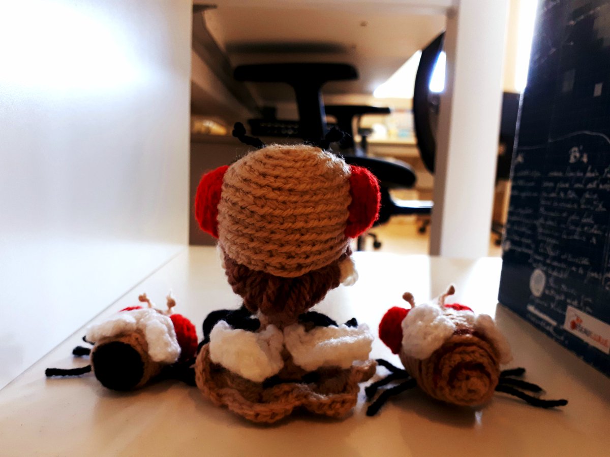Kisa_Pika's tweet photo. Drosophila collection 🌿
#drosophile #drosophila #drosophilamelanogaster #geneticmodels #fruitfly #amigurumi #amigurumis #amigurumicrochet https://t.co/1L3rITZUqN