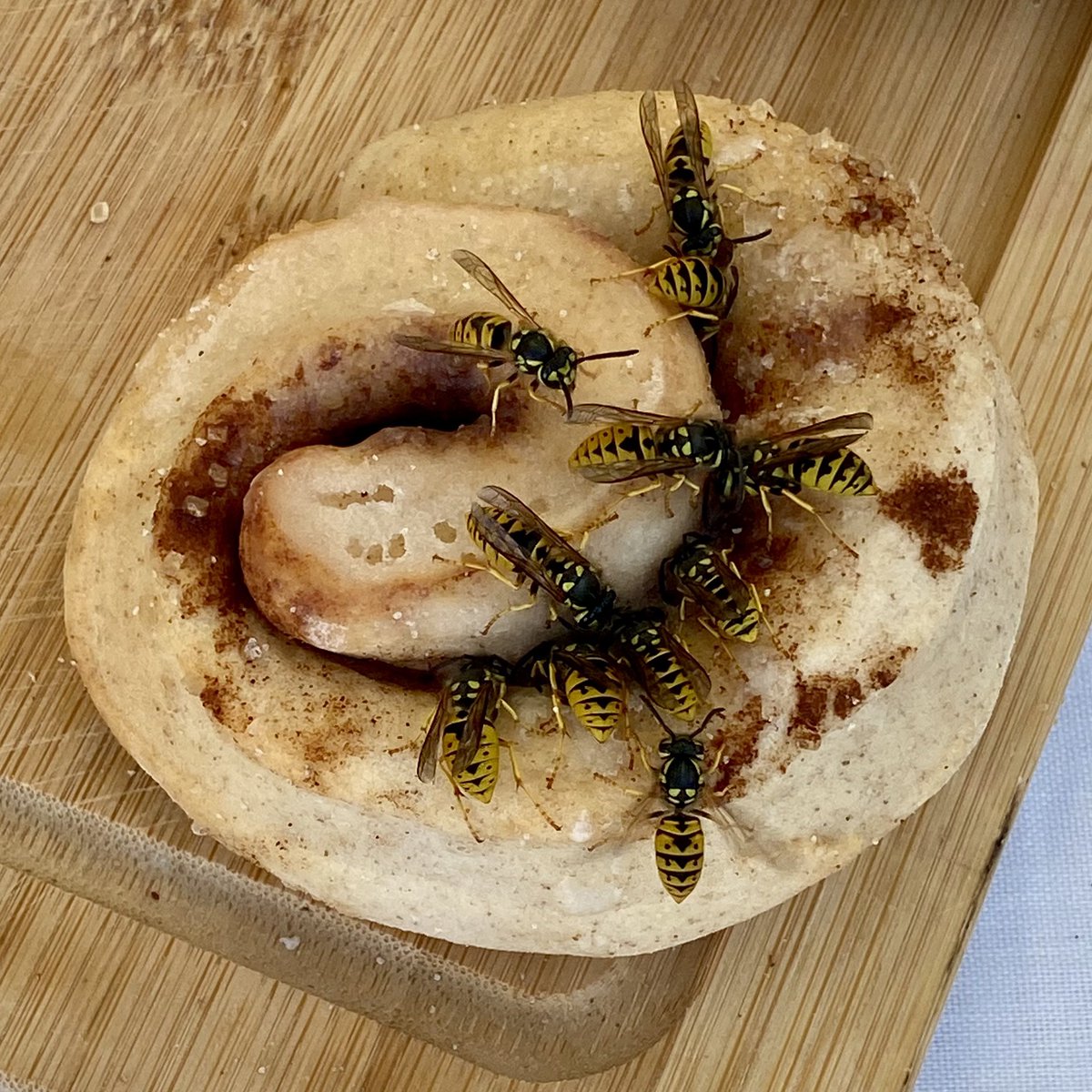 Štěpán Etrych tweet media