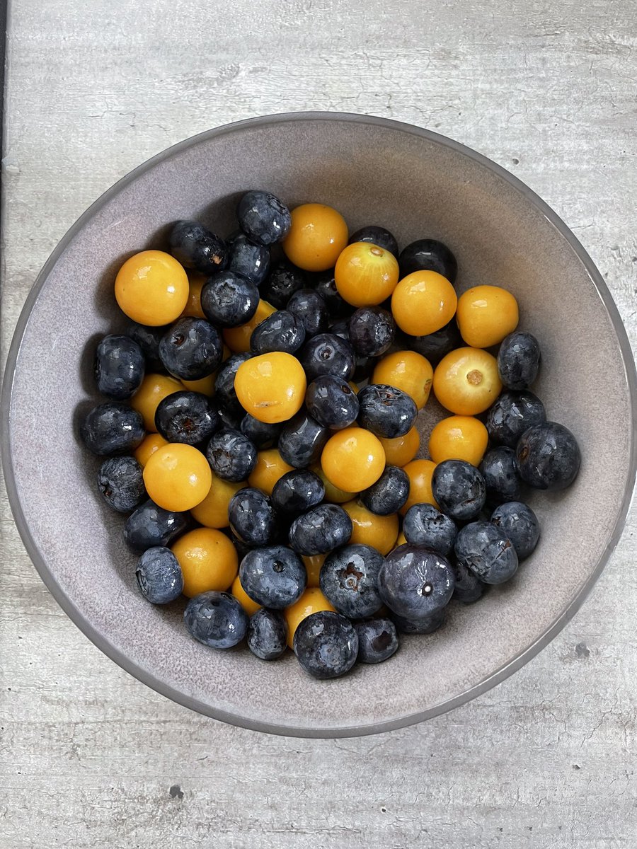 Bärenstarkes Spiel gestern! Weiter so! <a href="/EintrachtBSNews/">Eintracht Braunschweig</a> #EintrachtBraunschweig #BTSV