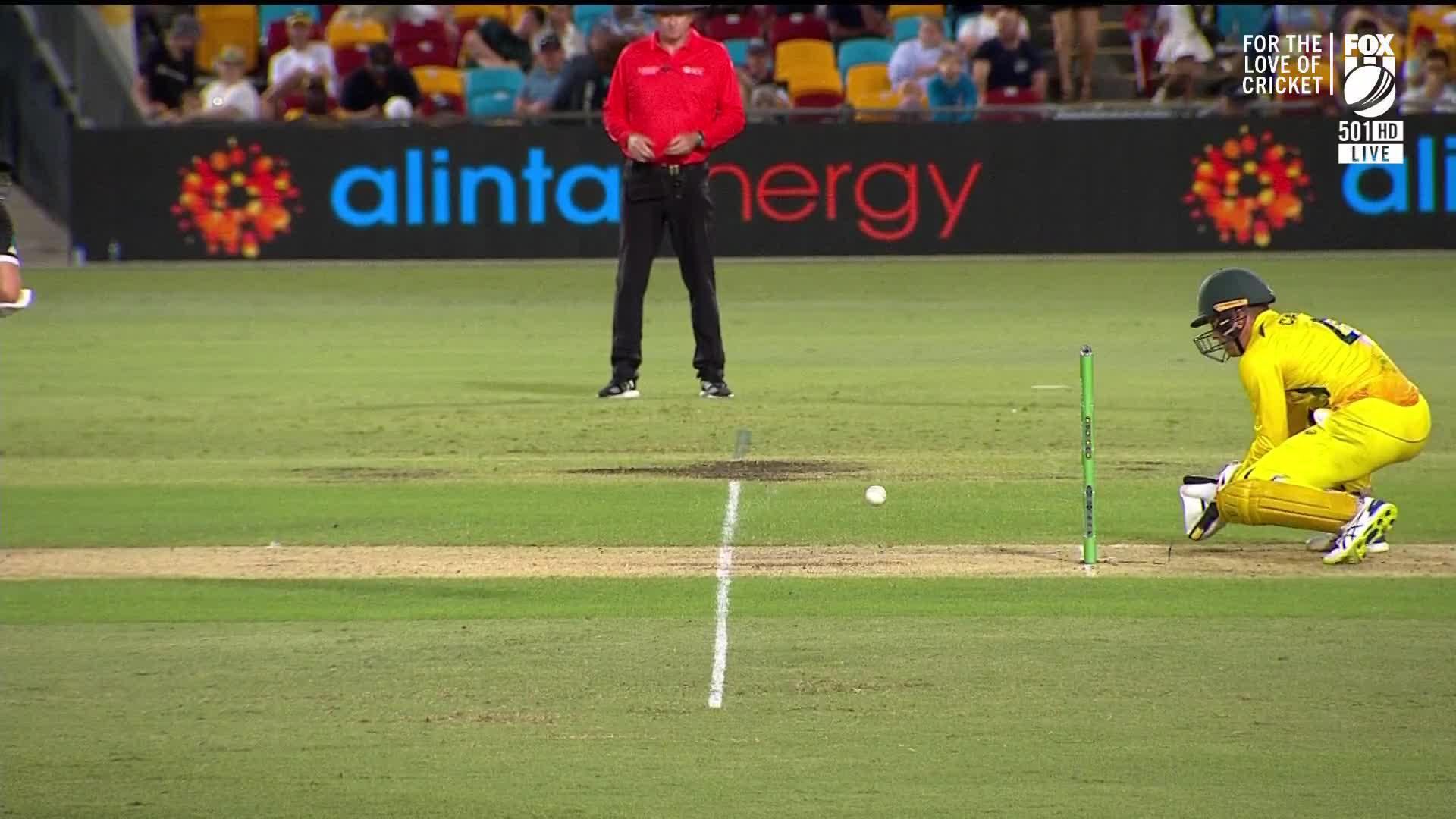 hd cricket live video