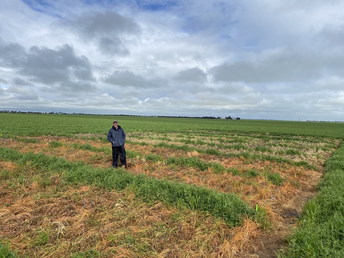 Nick Zordan tweet media