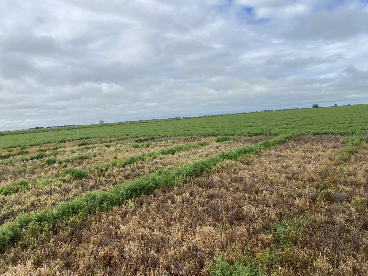 Nick Zordan tweet media