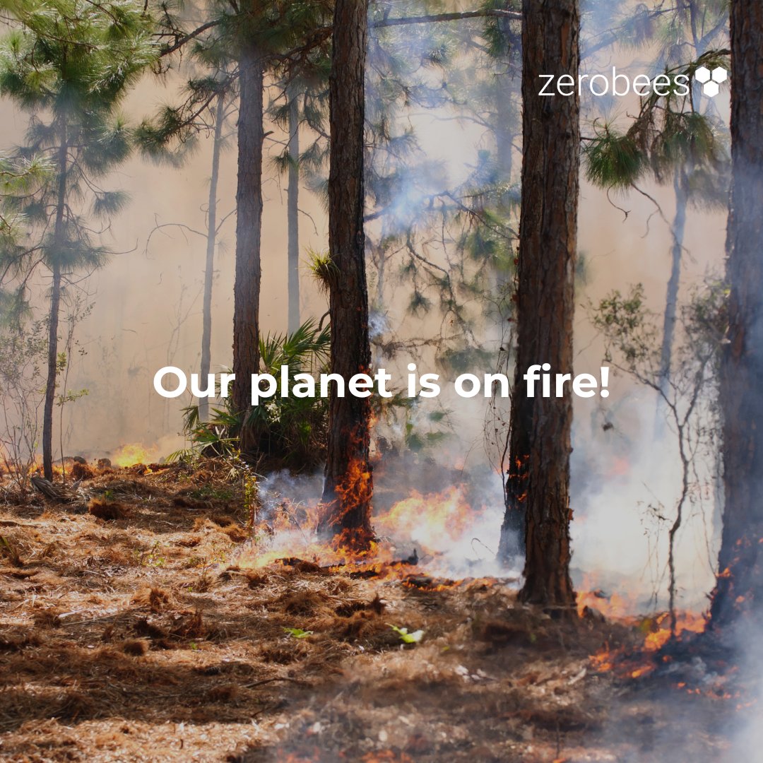Zerobees2's tweet photo. From trains slowing to a crawl for fear of buckling railroad tracks, wildfires licking the sides of a highway and airport runways melting, this summer, the UK was the source of stories of airport runways melting and several heat-related disasters. 

#zerobees #netzero https://t.co/qB3TXlMCA6