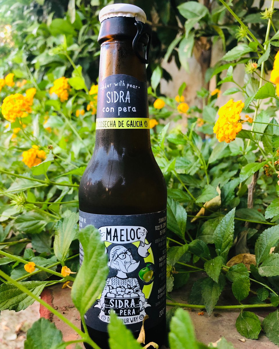 maelocway's tweet photo. Un domingo de sidra es la (re)pera 🍐 ¿Te apuntas?
#maeloc #sidra #sidramaeloc #wemaeloc #sidragallega #cosechadegalicia #maelocsidrasderaiz #cider #pearcider #sidradepera #sidradesabores https://t.co/UpEMa5dqE7