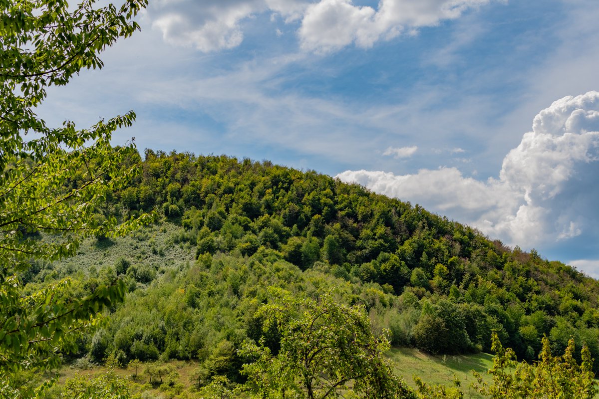 SStrugareanu's tweet photo. Hello beautiful people! I hope you are all having a good Sunday! been a long time since my last post so here are some mountains from my holidays! https://t.co/BjtD7Ylxjt