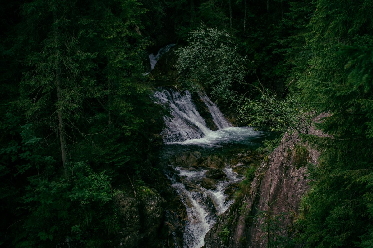 SStrugareanu's tweet photo. Hello beautiful people! I hope you are all having a good Sunday! been a long time since my last post so here are some mountains from my holidays! https://t.co/BjtD7Ylxjt
