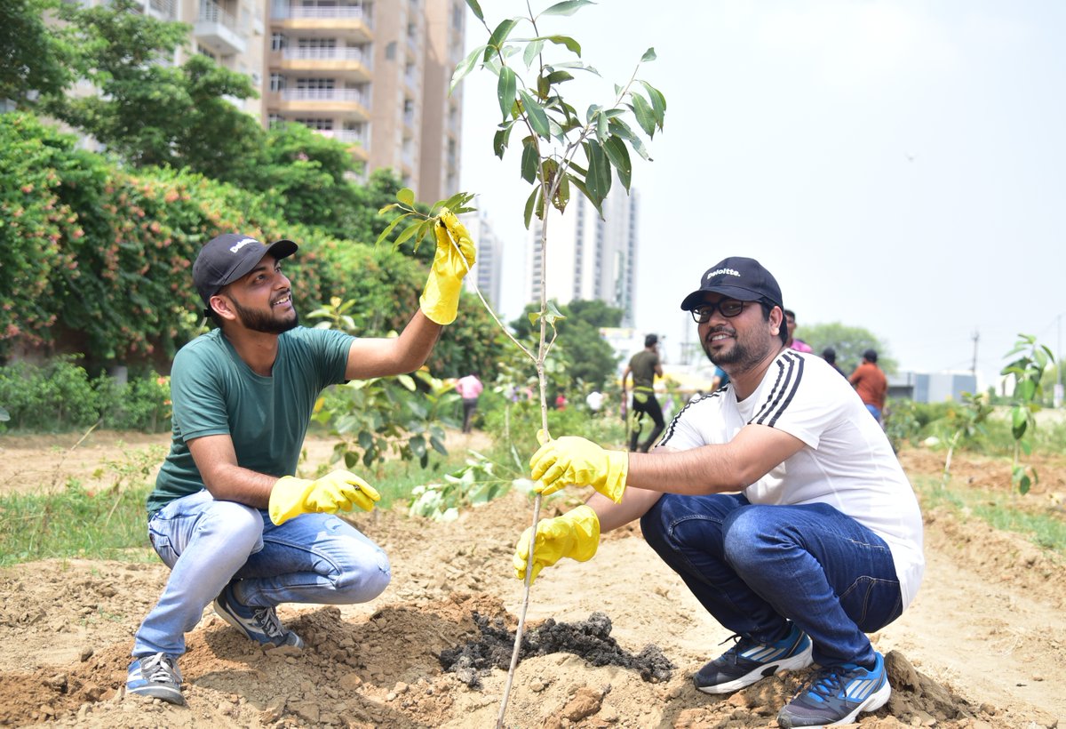 Deloitte India tweet media