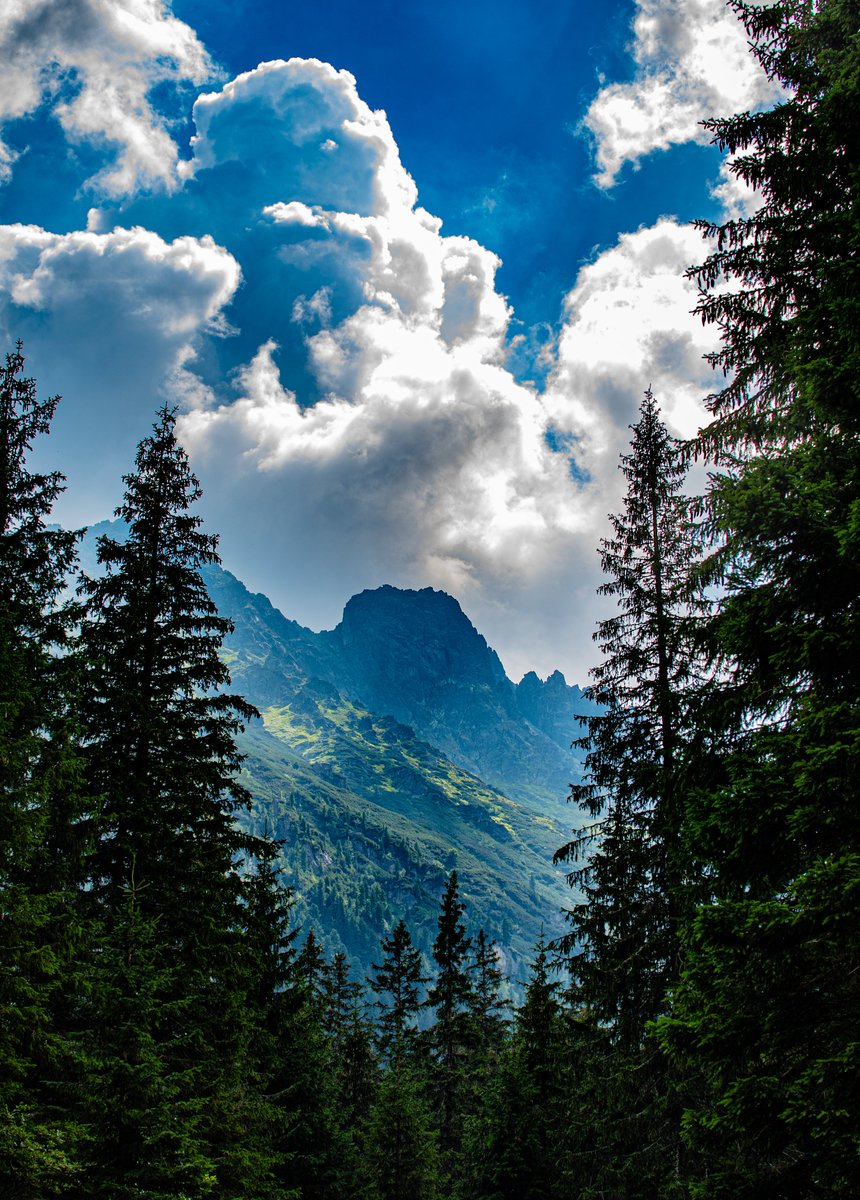 SStrugareanu's tweet photo. Hello beautiful people! I hope you are all having a good Sunday! been a long time since my last post so here are some mountains from my holidays! https://t.co/BjtD7Ylxjt