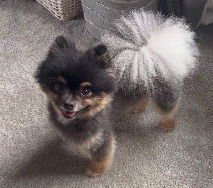 Timeline cleanse &hearts;️ https://t.co/SdLoqvKYm2