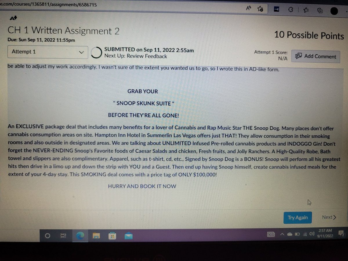 bakedbluntbroad's tweet photo. #lasvegasstrip #SnoopDogg #HamptonInn #LasVegas #Netflix and #chill ? @SnoopDogg my assignment was to create an unusual hotel package deal whatchu think?? #slideintomydm https://t.co/coupvVEVCS