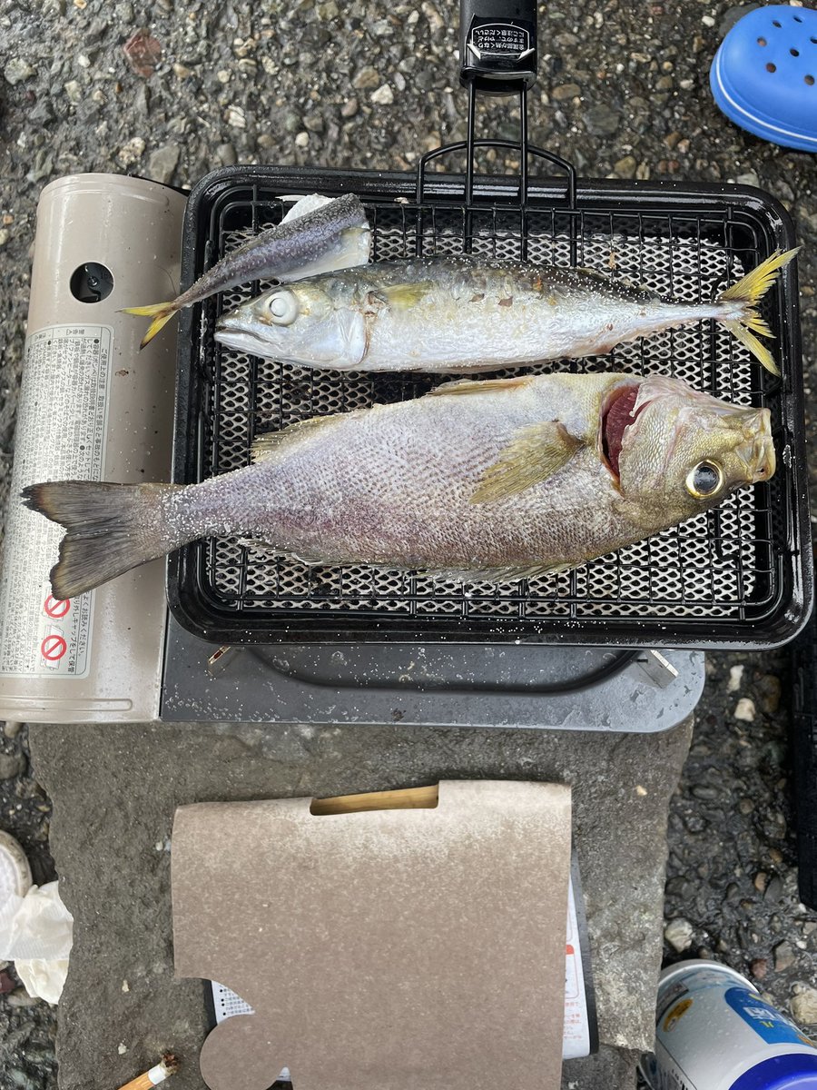 run_run0314's tweet photo. 最近の趣味は🐟🎣 https://t.co/GEfGuquC84