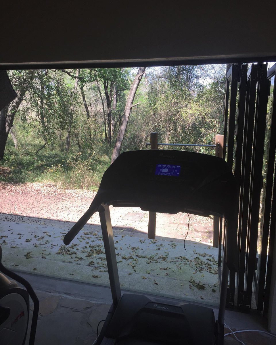 tonyparkauthor's tweet photo. I’m gonna git you sucka. Sub 24 (again) here I come. I have a treadmill at my bush house - we’re not allowed to run here, in case we get eaten.
.
.
#tonyparkbooks #tonyparkauthor #treadmill #bushlife #safari #africa #notforsissies #southafrica #krugernationalpark https://t.co/N6vRac99ra