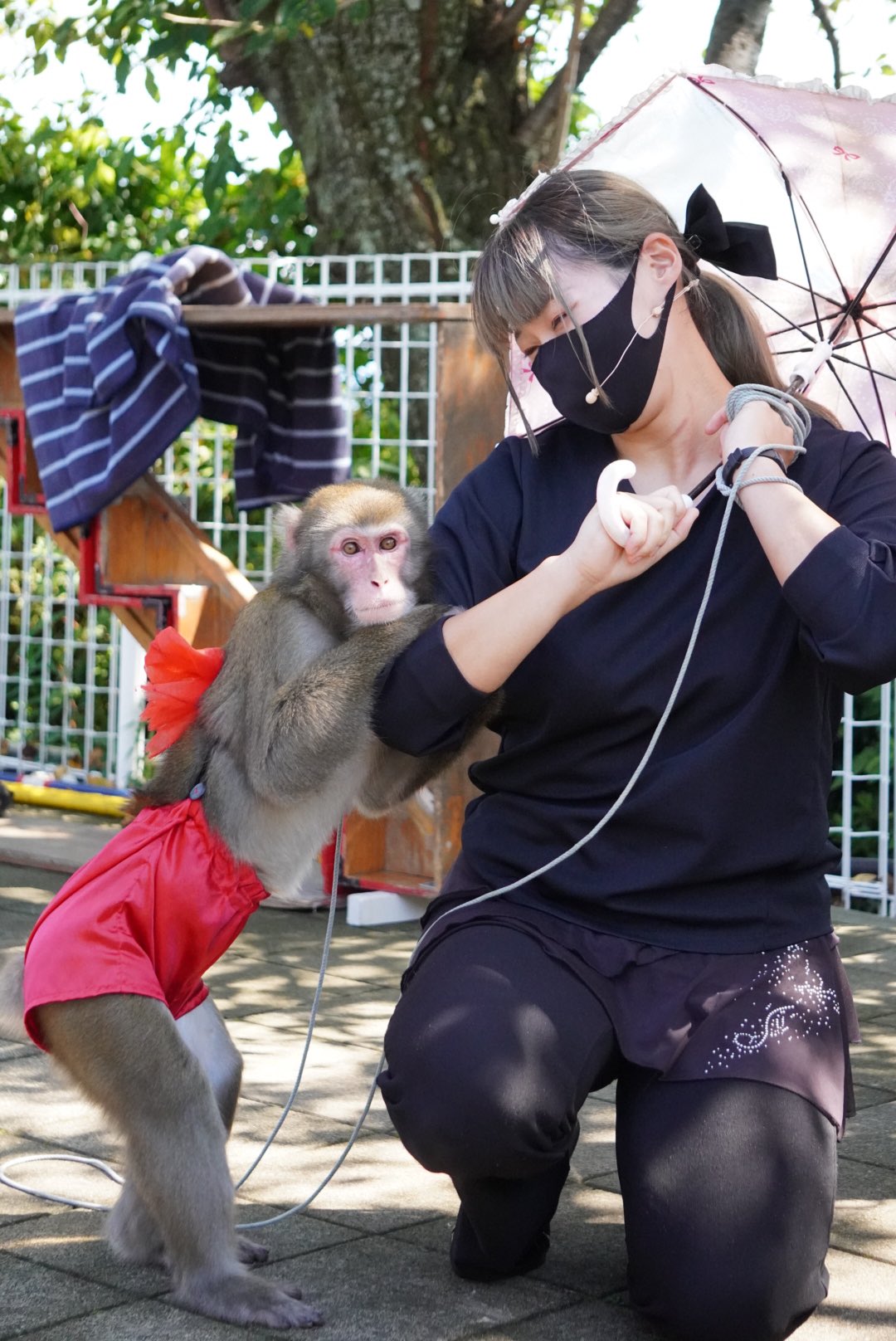 【muu☆プロフご覧下さい】ことりのおおきなあそびば muu☆プロフご覧下さい】ことりのおおきなあそびば muu☆プロフ