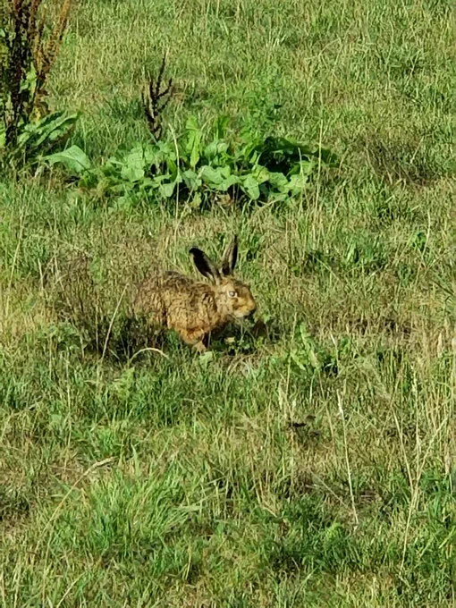 More from today 