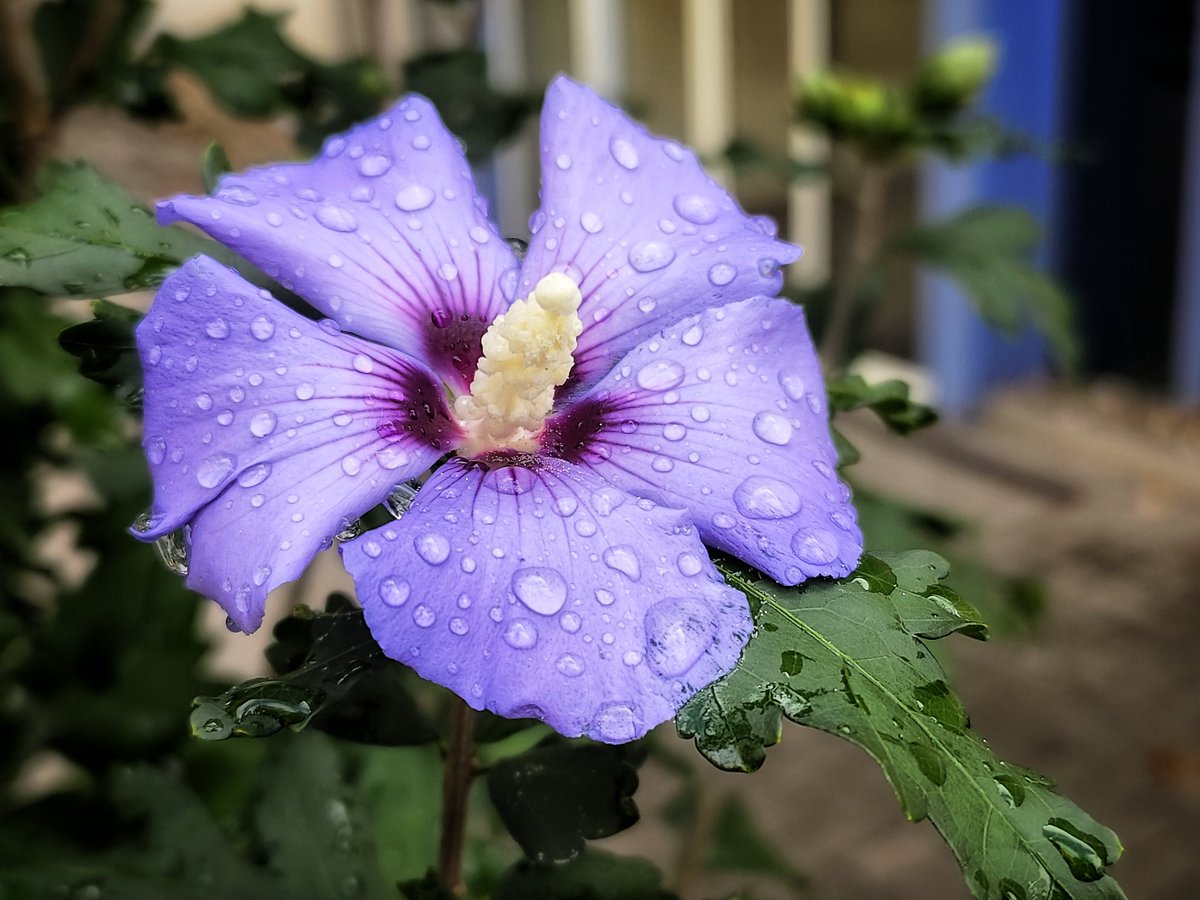 Einen schönen Sonntag euch. 🌥️☔