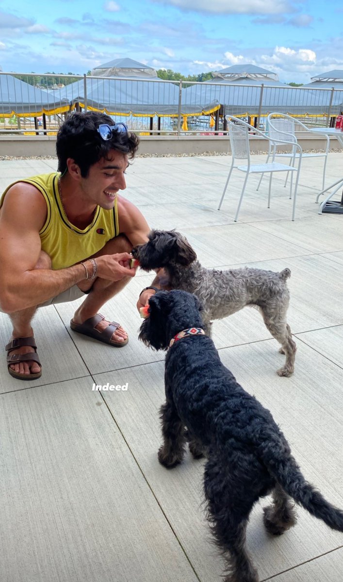 ⋮ 𝘪𝘯𝘴𝘵𝘢𝘨𝘳𝘢𝘮 𝘱𝘰𝘴𝘵.
ㅤㅤㅤㅤㅤㅤㅤ⤿﹫.marcovpena. 
ㅤㅤㅤㅤㅤ
ㅤㅤ ── ⨾ 𝗍oday ; 
ㅤㅤㅤㅤㅤㅤㅤㅤ
ㅤㅤㅤㅤ ❝ 🐶 ❞