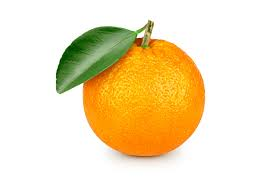 xpower7125's tweet photo. just got #OrangePhone
@OrongeInc https://t.co/Y66TcmJxEQ