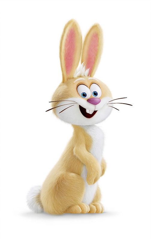 bunny of the whenever 🐇 tweet media