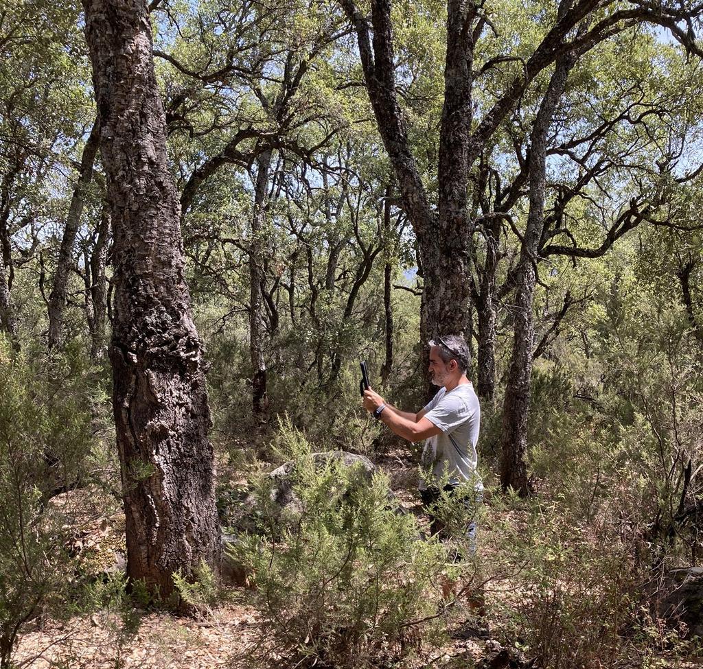 mabdelaziz_moha's tweet photo. After finishing the setting up of #OUTevolution experiment we head out last population of Q. suber only to take the population structure using the Matias' #LIDAR as a last action into #MEADCLIM project. https://t.co/SocaV8QypD