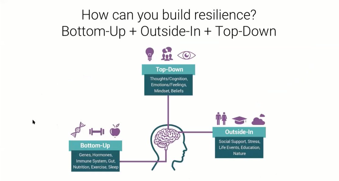 RisingBrains001's tweet photo. At Rising Brains. Ltd you will get the comprehensive Brain Transformation that will change your life and future.
#RisingBrainsLtd #brainrx #ReadRx #LifeChanging #braintransformation #brainhealth #neurodevelopment #success #learningdifficulty #problem_solving #ADHD #autism https://t.co/Ztc6MsqYCv