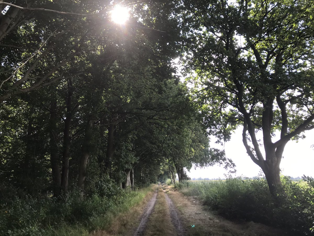 EikoSmid's tweet photo. Goedemorgen #zondag: heerlijk rustig en koel in verstilde Boswachterij #Staphorst (eigenlijk #Punthorst). Bedauwde #heide in dit bos van @staatsbosbeheer https://t.co/l3mkAgH4ie