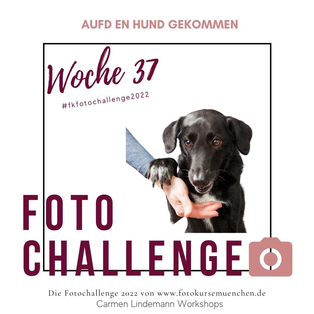 Chaemonn's tweet image. #Bildgestaltung #Bildidee #Fotochallenge #Fotografieren #Fotoidee #Kreativität #Storytelling

fotokursemuenchen.de/?p=18170