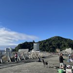 ツイートに含まれる画像