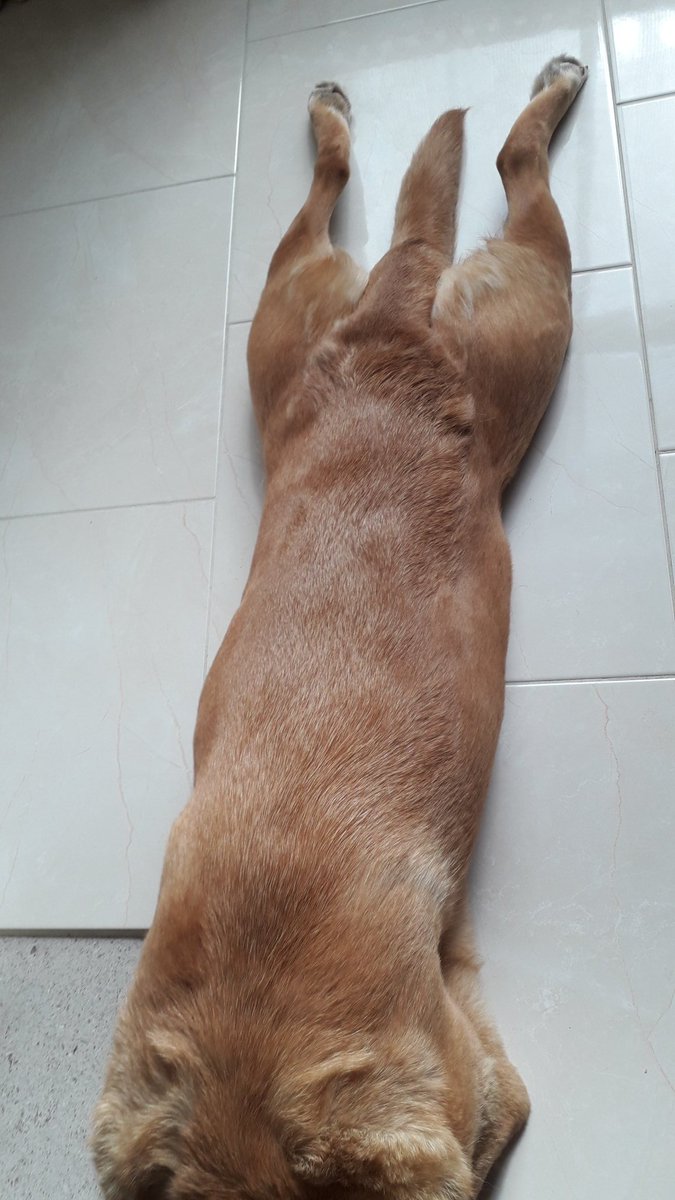 Many A True Nerd tweet media