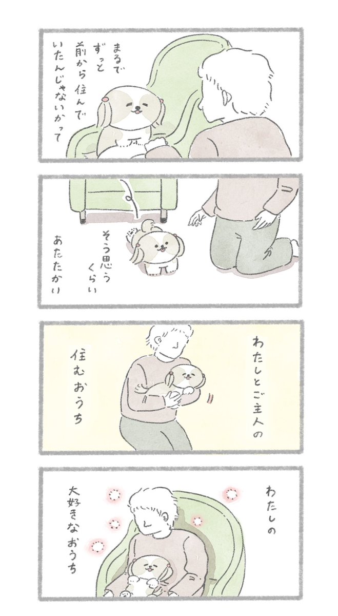 わたしのおうち
#こんにちはいぬです 