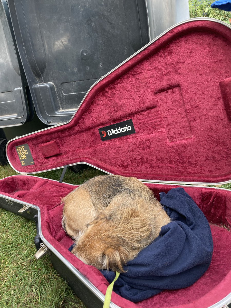 MOHO_Mutt's tweet photo. Relaxing at @Ludlowfoodfest, listening to #livemusic from @ge0_ff  with his new strings from @DaddarioandCo . Another reason for a case from @HiscoxCases , very comfy too. https://t.co/CEVk46Ok4t