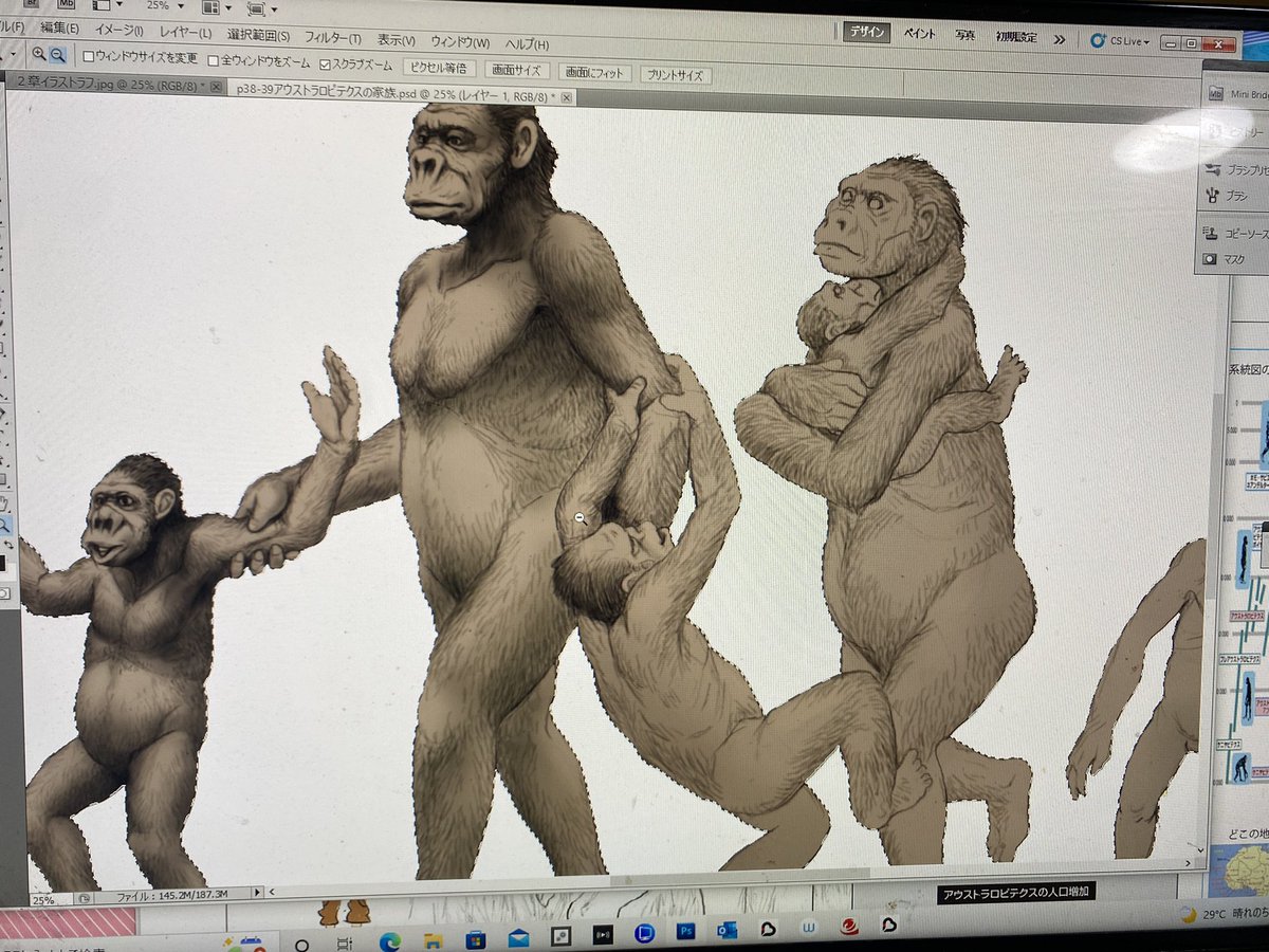 川崎悟司 アウストラロピテクスの家族 T Co Besgm7coaf Twitter