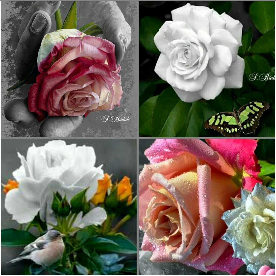 Du kannst nicht ändern, wie andere dich behandeln oder was sie über dich sagen. Du kannst nur ändern, wie du darauf reagierst.

Es heißt, finde gute Leute und lass schlechten gehen.
Aber Tatsache ist, niemand wird perfekt geboren.
Also, finde gute Leute und ignoriere schlechte 🌹