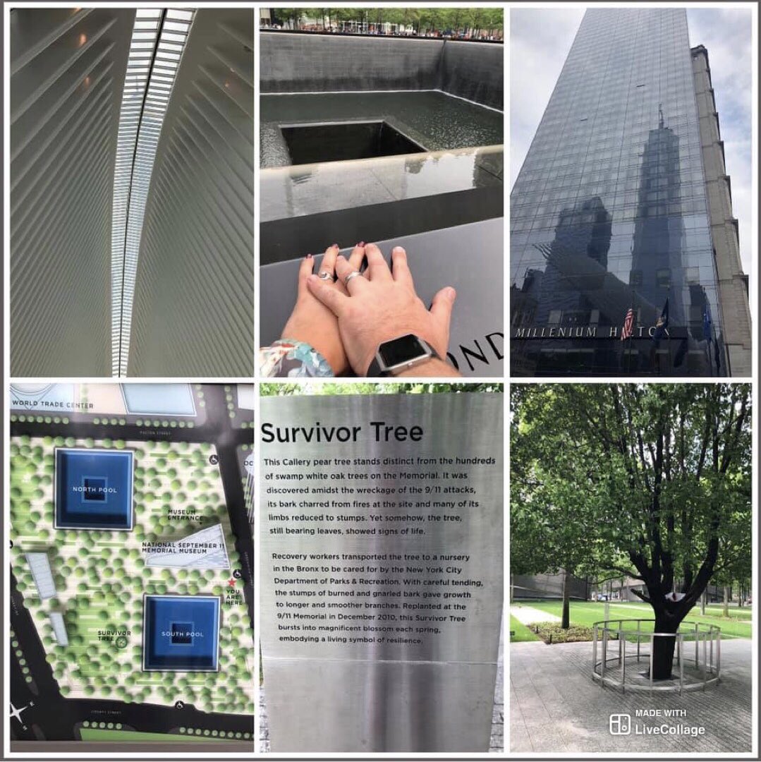 LouHedges's tweet photo. Remembering today, and when back in 2018 we visited the 9/11 memorial. @RobHiden1 

#911anniversary #911neverforget #worldtradecenter #worldtradecentermemorial #9September https://t.co/fu7nkj5Z3W