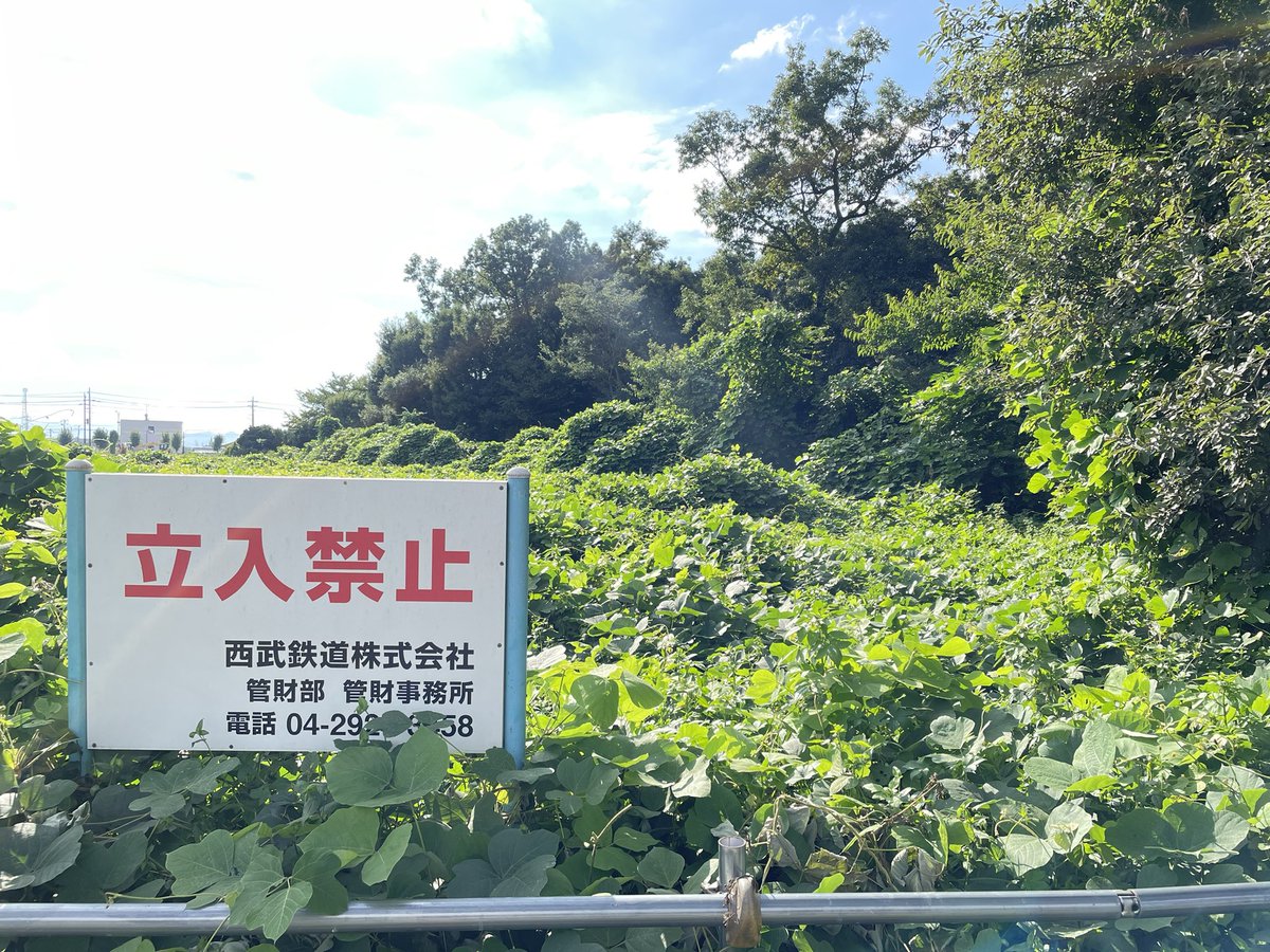 railwayline's tweet photo. 2022秋
雑木林トンネルゾーン
現在の状況

撮影日 2022/09/11

#安比奈線 #西武安比奈線 #廃線 #廃線路
#abandonedrailwayline #closedrailwayline #discontinuedline https://t.co/G9EVKw0LkL