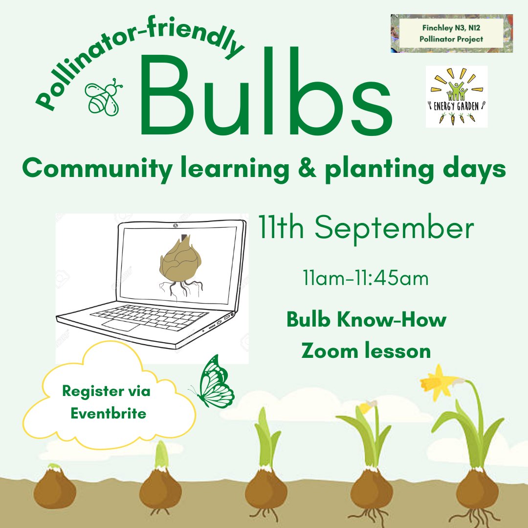 EcoShowandTell (@ecoshowandtell) on Twitter photo Thank you so much Deena J Kestenbaum & Holly Pringle for your fantastic presentation about #pollinators-friendly BULBS. You can watch the training here: youtu.be/eH3mR3bf41k .Don't wait too long, plant bulbs in Sep and Oct for optimum results! <a href="/pollinatorproj/">The Pollinator Project 🐝 🦋 🌱🌸</a> <a href="/eftownteam/">East Finchley Town Team</a> Thank you so much Deena J Kestenbaum & Holly Pringle for your fantastic presentation about #pollinators-friendly BULBS. You can watch the training here: youtu.be/eH3mR3bf41k .Don't wait too long, plant bulbs in Sep and Oct for optimum results! <a href="/pollinatorproj/">The Pollinator Project 🐝 🦋 🌱🌸</a> <a href="/eftownteam/">East Finchley Town Team</a>