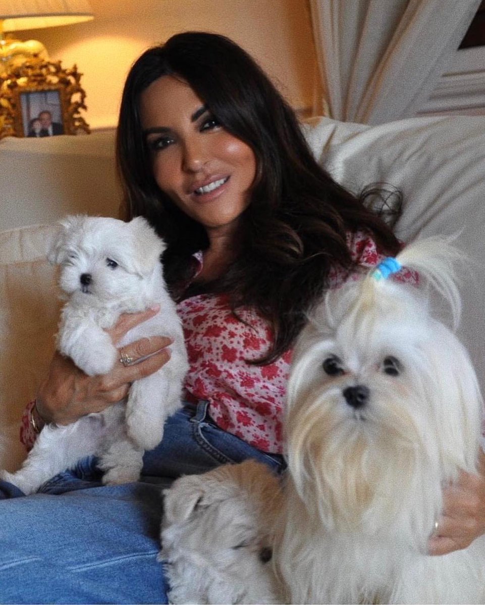 Sabrina Ferilli FC (@sferillifc) on Twitter photo 