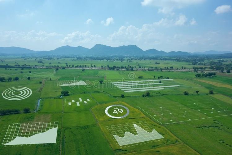Agro_Watts's tweet photo. Drones for agriculture are becoming mainstream. They help farmers have a better and wider understanding about their farms. #farmingdrones #digitalfarming #precisionagriculture https://t.co/ntiGPPK8f4