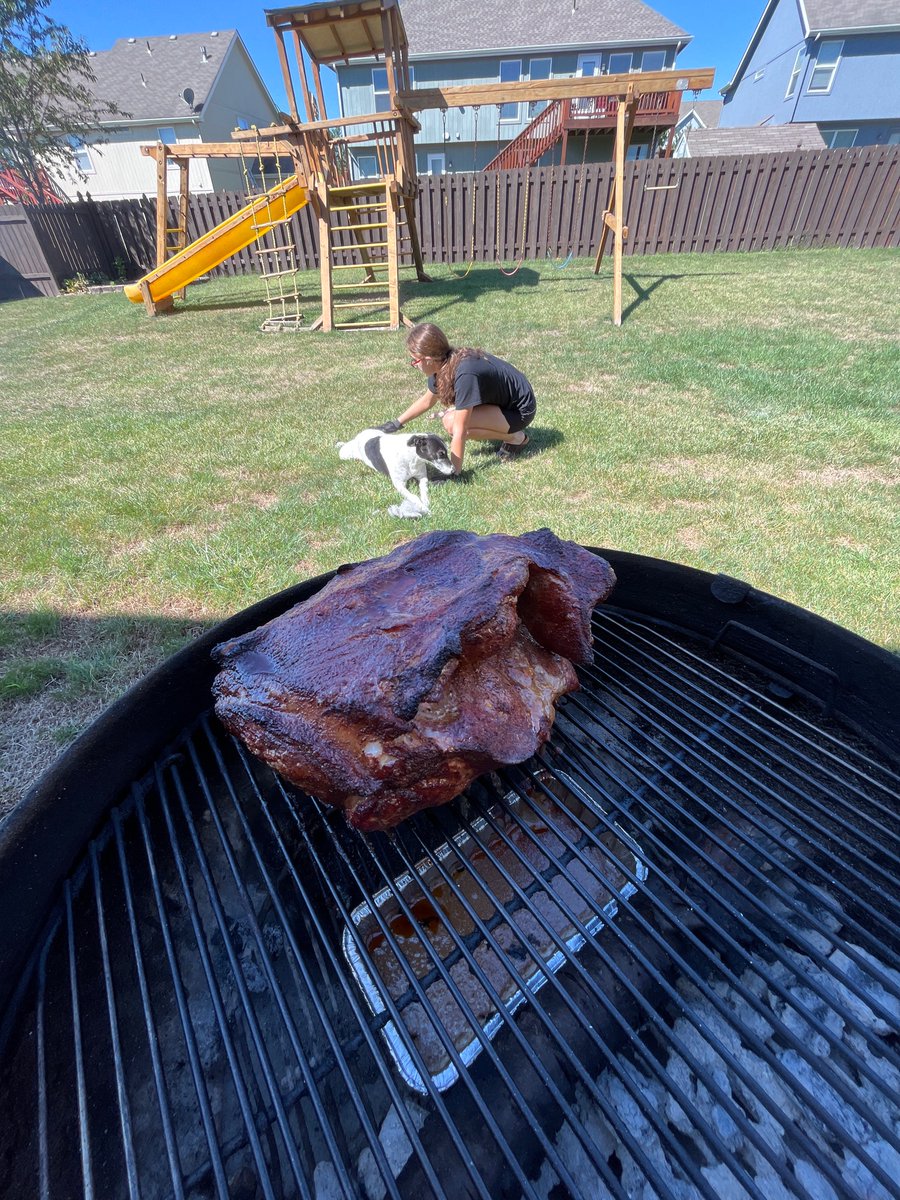 Waiting on cage to dry. Dottie getting much deserved fur removal from <a href="/ains_yoakam/">Ainsley Yoakam 2024</a>.  Pork shoulder working.  Today would have been my Mom’s 70th.  Love you, miss you Katie Yoakam.